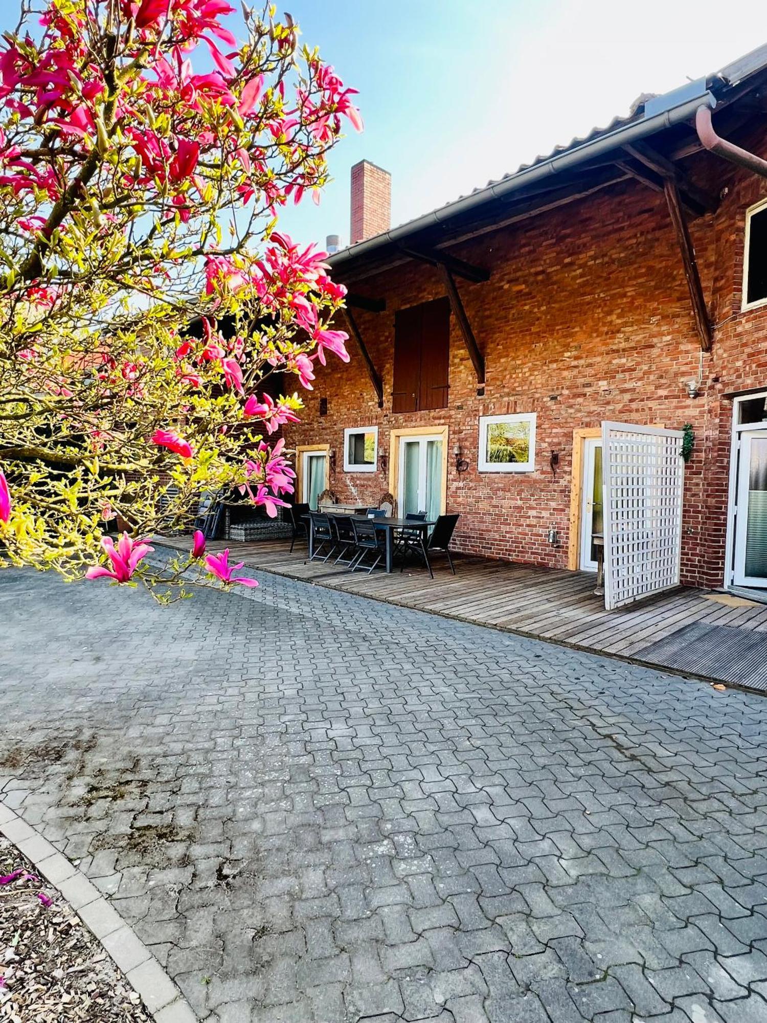 Ferienwohnungen Maedchen Wunstorf Buitenkant foto